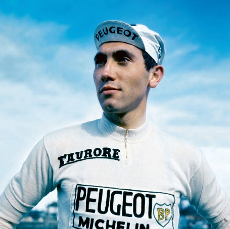 Eddy Merckx.jpg