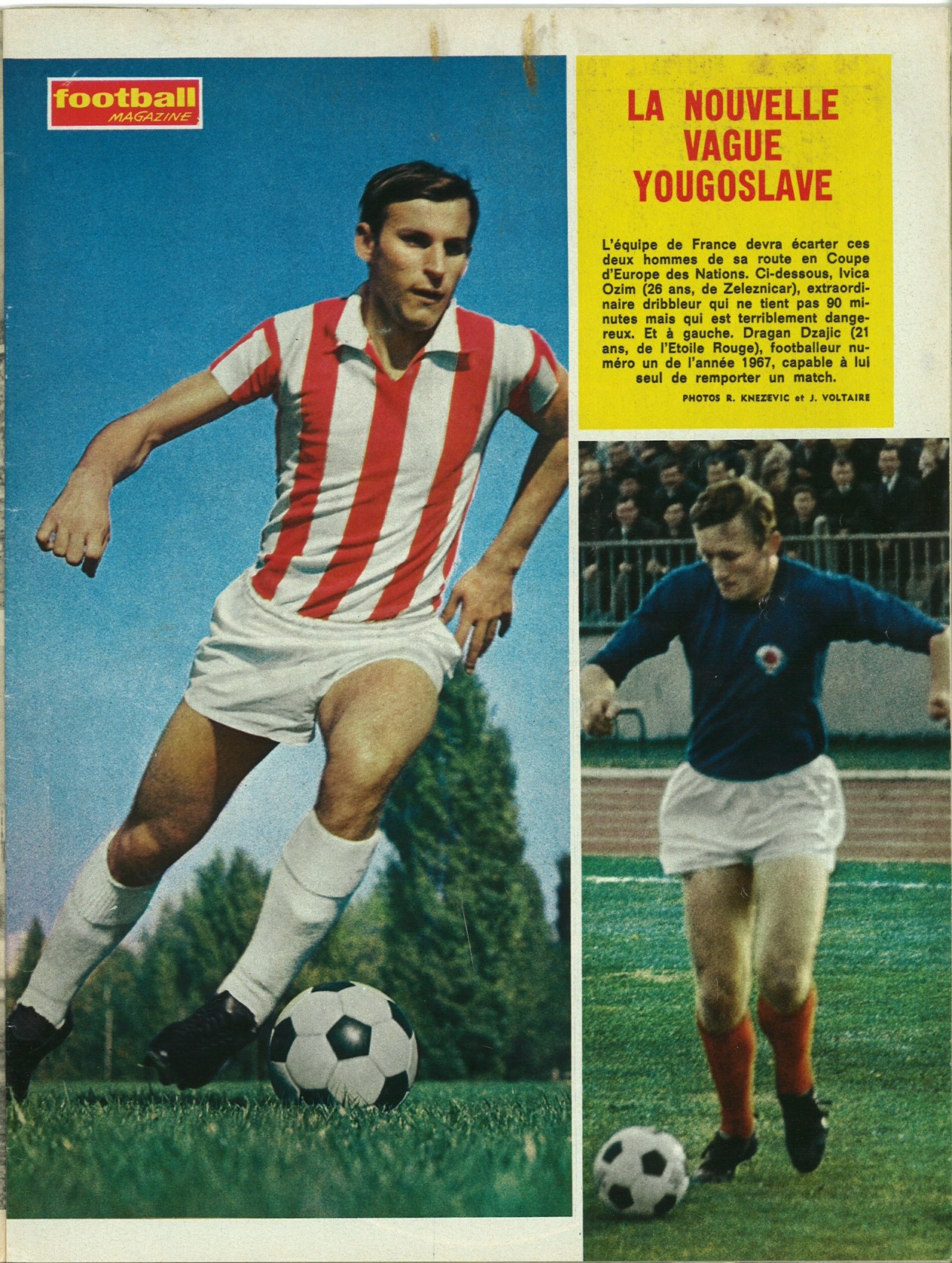 OSIM & DZAJIC.jpg
