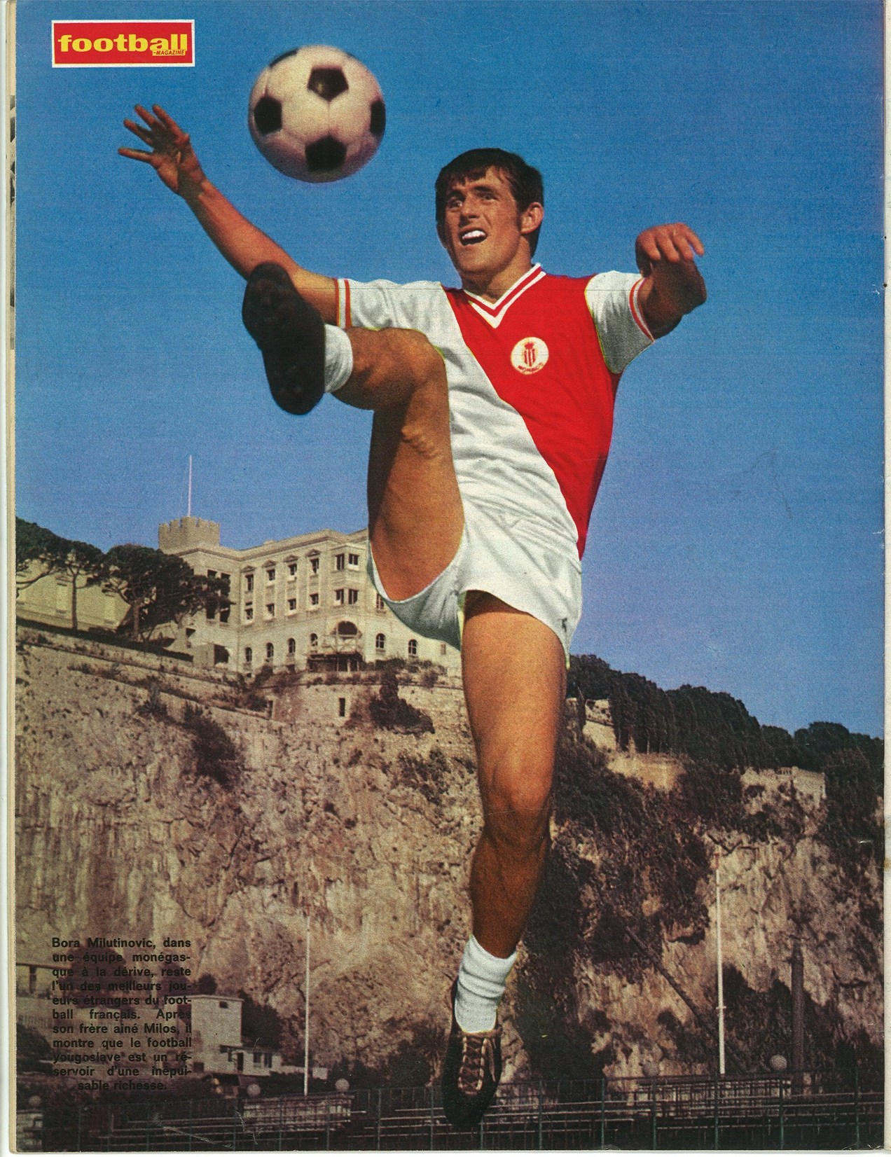 MILUTINOVIC Bora.jpg