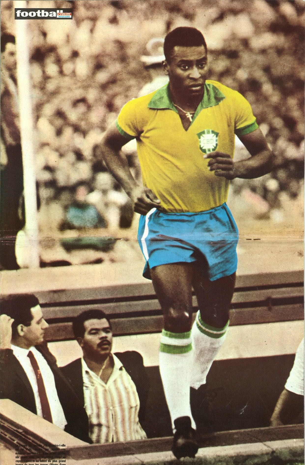 PELE.jpg
