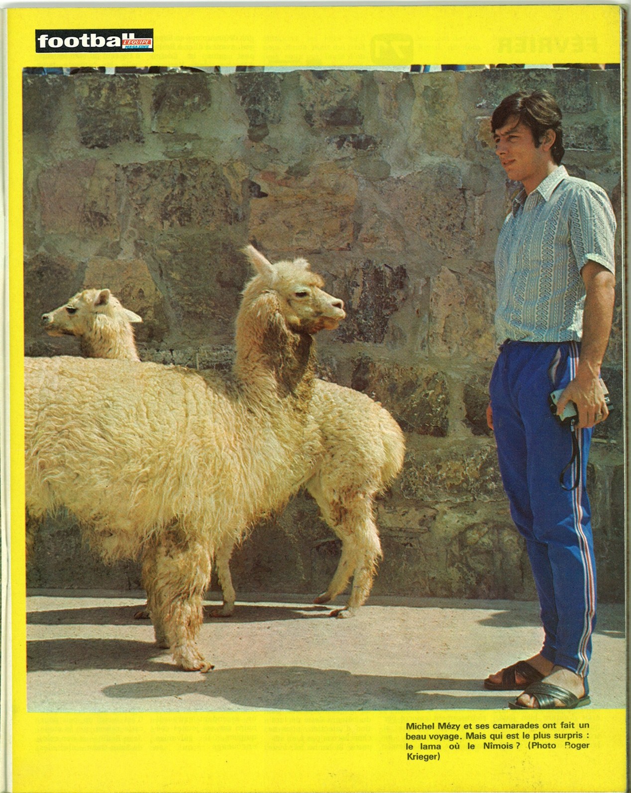 MEZY Michel.jpg