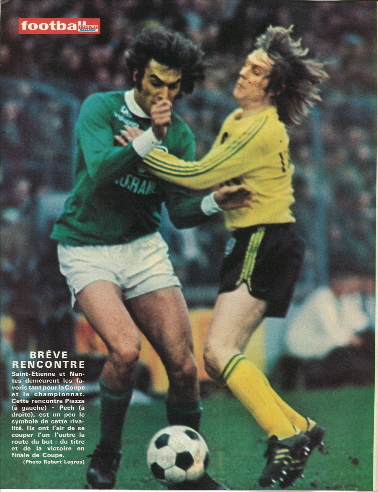 PIAZZA & PECH.jpg