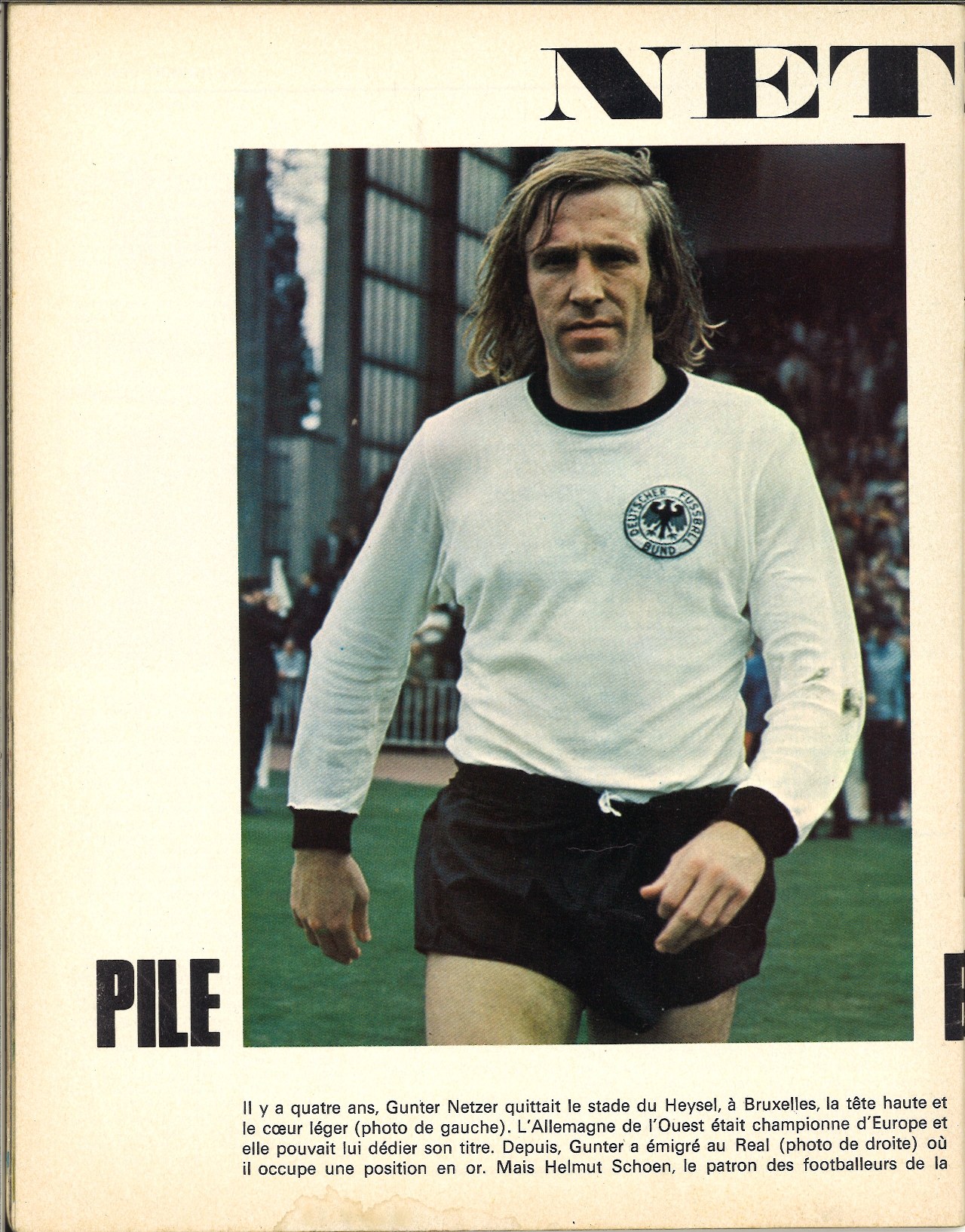 NETZER (1).jpg
