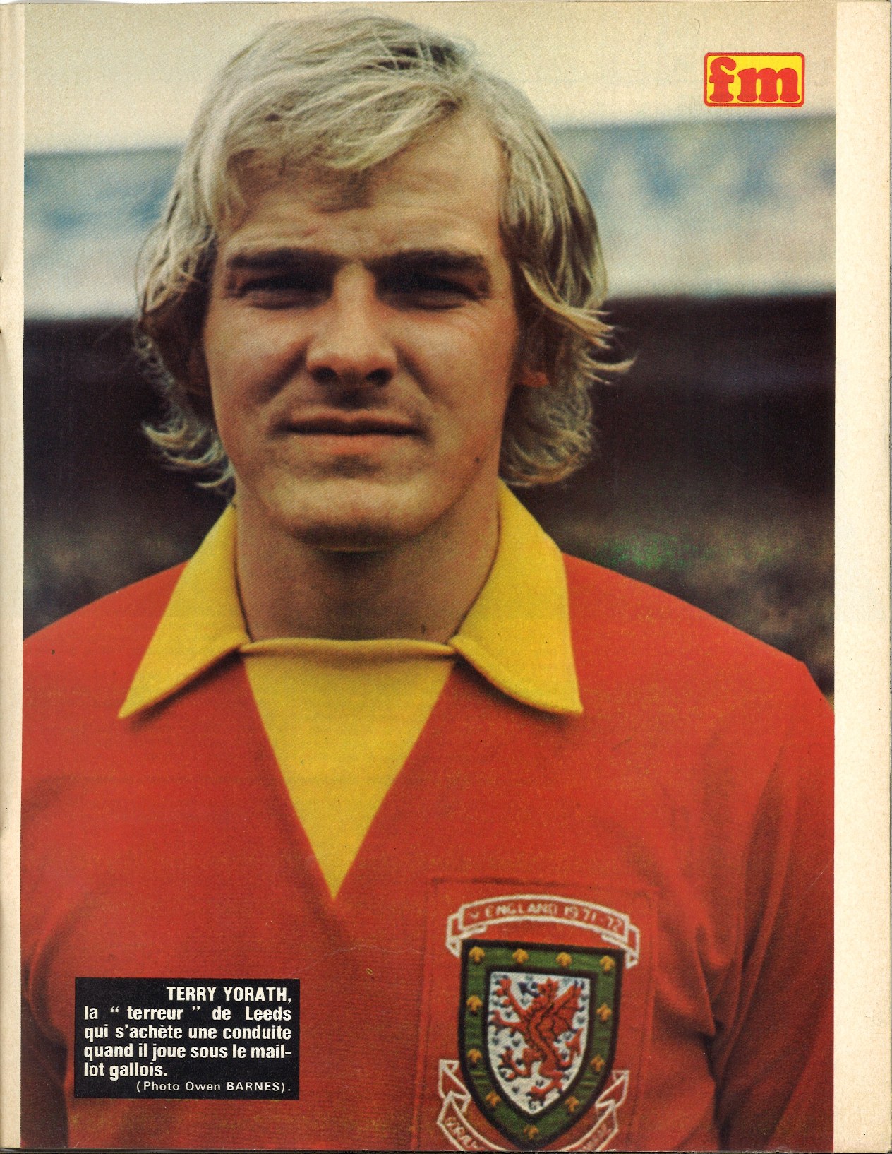 Terry YORATH.jpg